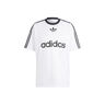 adidas Camiseta Hombre ADICOLOR POLY T 05