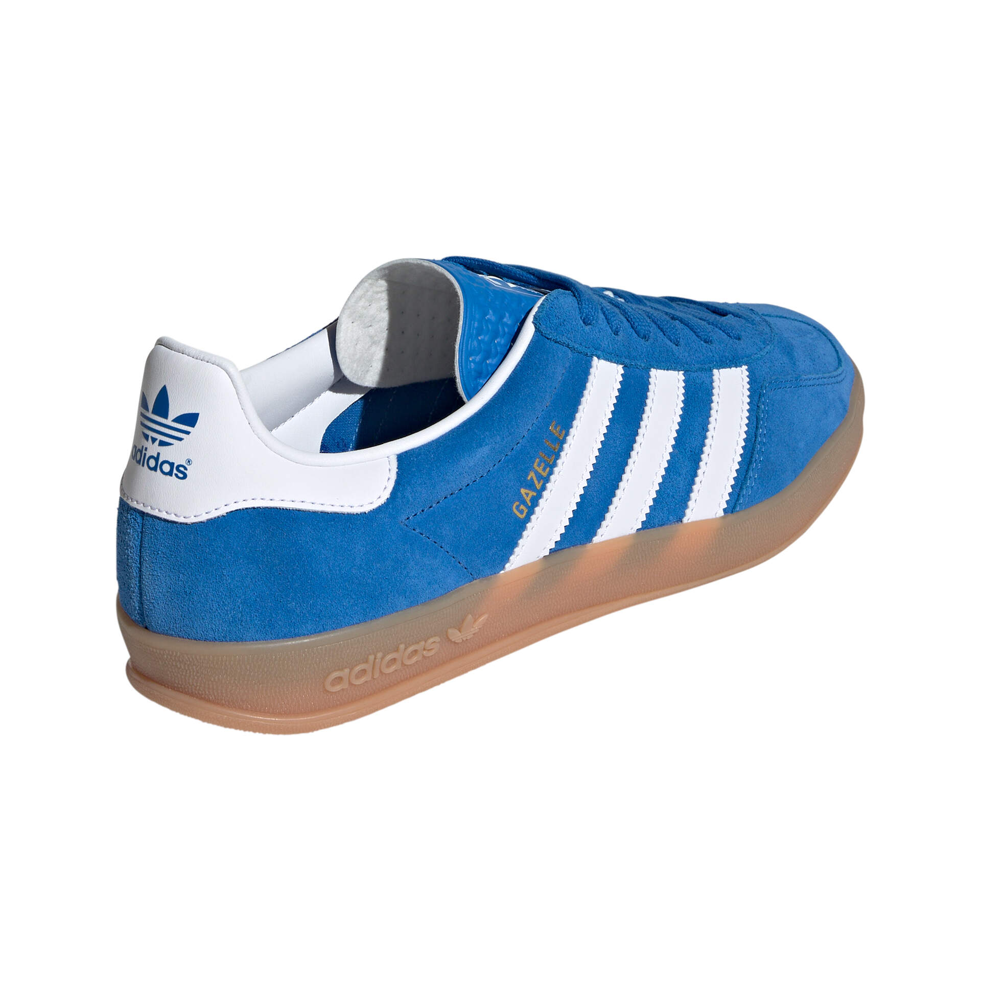 GAZELLE INDOOR