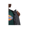 Dickies Chaqueta Hombre NEW SARPY JACKET 04