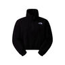 The North Face Forr Pol Str Sra W 100 GLACIER HALF ZIP FLEECE vista frontal