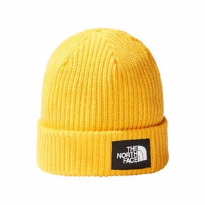 SALTY LINED BEANIE