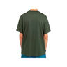 Element Camiseta Hombre BLAZIN CHEST SS vista trasera